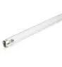 Philips T8 UV - C 55W - Ultra-violet | 90cm